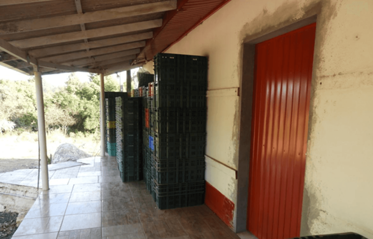 Foto 8 de 16: Comercial em leilão em Brochier - RS — IMÓVEL (17.000 m2) DENTRO DE UMA ÁREA MAIOR DE  37.037,22m² COM GALPÕES AVIÁRIOS EM MONTENEGRO/RS