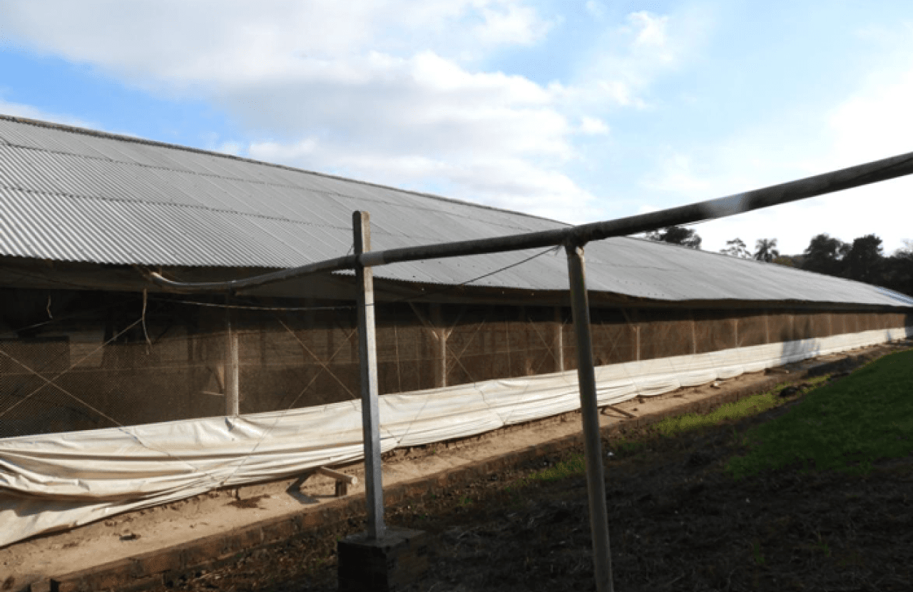 Foto 10 de 16: Comercial em leilão em Brochier - RS — IMÓVEL (17.000 m2) DENTRO DE UMA ÁREA MAIOR DE  37.037,22m² COM GALPÕES AVIÁRIOS EM MONTENEGRO/RS