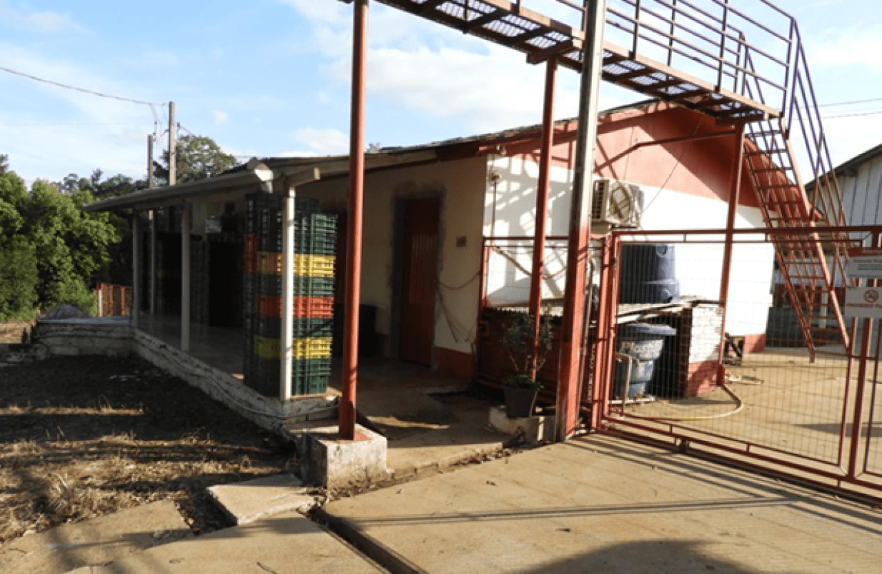 Foto 7 de 16: Comercial em leilão em Brochier - RS — IMÓVEL (17.000 m2) DENTRO DE UMA ÁREA MAIOR DE  37.037,22m² COM GALPÕES AVIÁRIOS EM MONTENEGRO/RS