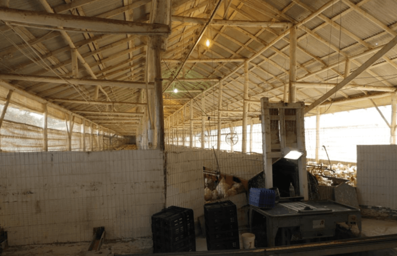 Foto 13 de 16: Comercial em leilão em Brochier - RS — IMÓVEL (17.000 m2) DENTRO DE UMA ÁREA MAIOR DE  37.037,22m² COM GALPÕES AVIÁRIOS EM MONTENEGRO/RS