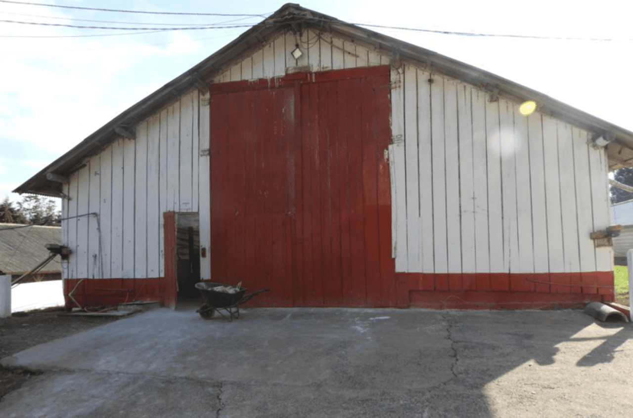 Foto 5 de 16: Comercial em leilão em Brochier - RS — IMÓVEL (17.000 m2) DENTRO DE UMA ÁREA MAIOR DE  37.037,22m² COM GALPÕES AVIÁRIOS EM MONTENEGRO/RS
