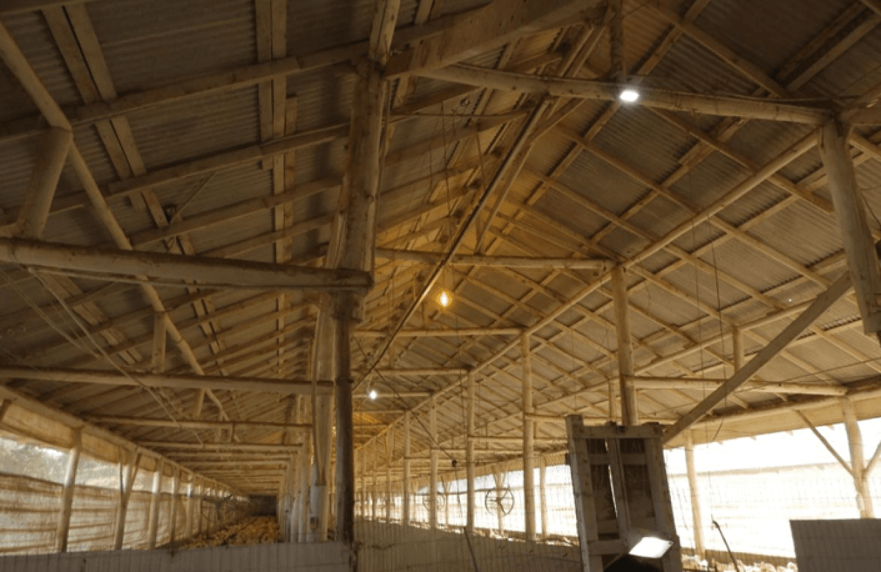 Foto 16 de 16: Comercial em leilão em Brochier - RS — IMÓVEL (17.000 m2) DENTRO DE UMA ÁREA MAIOR DE  37.037,22m² COM GALPÕES AVIÁRIOS EM MONTENEGRO/RS