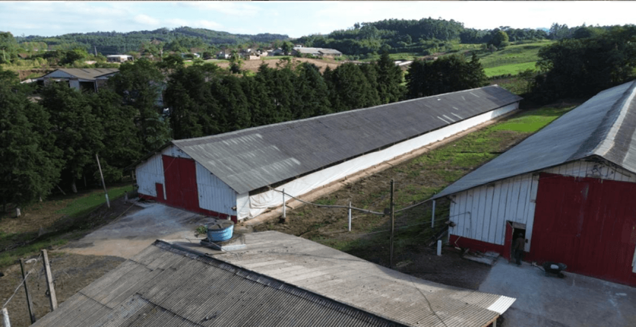 Foto 4 de 16: Comercial em leilão em Brochier - RS — IMÓVEL (17.000 m2) DENTRO DE UMA ÁREA MAIOR DE  37.037,22m² COM GALPÕES AVIÁRIOS EM MONTENEGRO/RS
