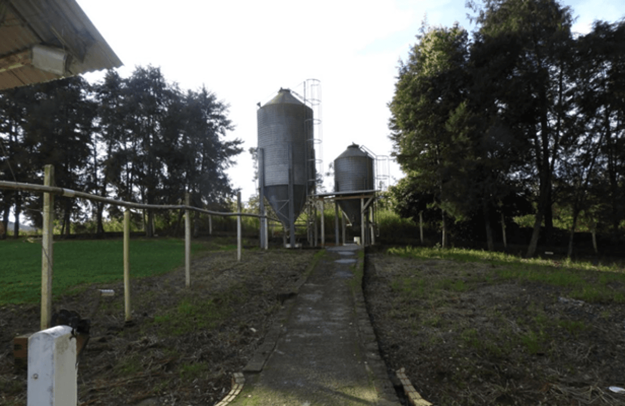 Foto 11 de 16: Comercial em leilão em Brochier - RS — IMÓVEL (17.000 m2) DENTRO DE UMA ÁREA MAIOR DE  37.037,22m² COM GALPÕES AVIÁRIOS EM MONTENEGRO/RS