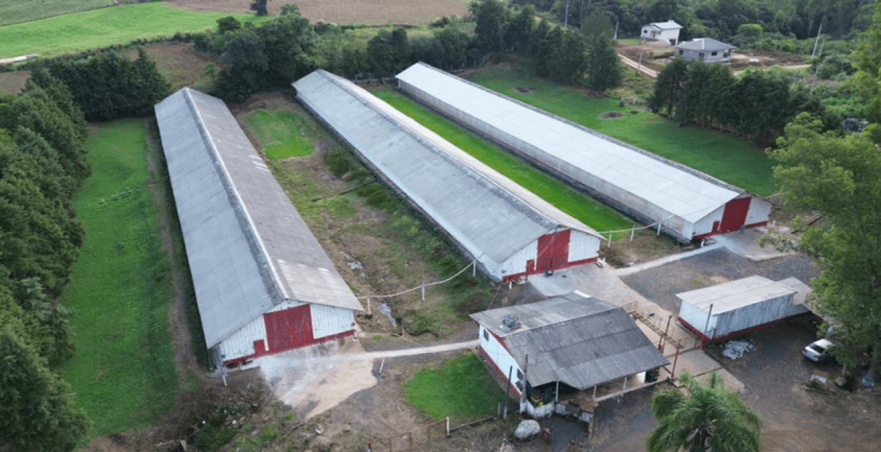 Foto 3 de 16: Comercial em leilão em Brochier - RS — IMÓVEL (17.000 m2) DENTRO DE UMA ÁREA MAIOR DE  37.037,22m² COM GALPÕES AVIÁRIOS EM MONTENEGRO/RS