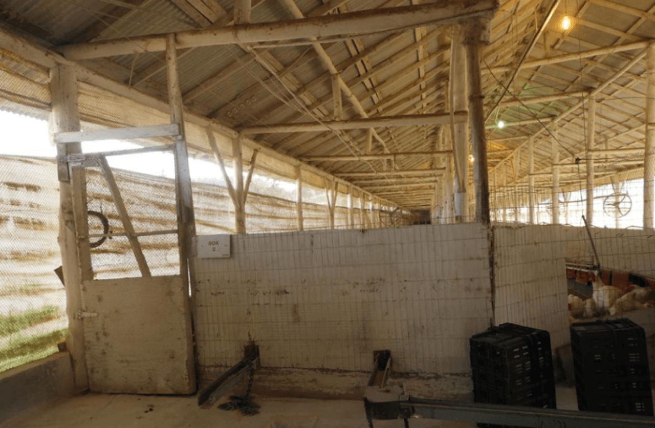Foto 15 de 16: Comercial em leilão em Brochier - RS — IMÓVEL (17.000 m2) DENTRO DE UMA ÁREA MAIOR DE  37.037,22m² COM GALPÕES AVIÁRIOS EM MONTENEGRO/RS