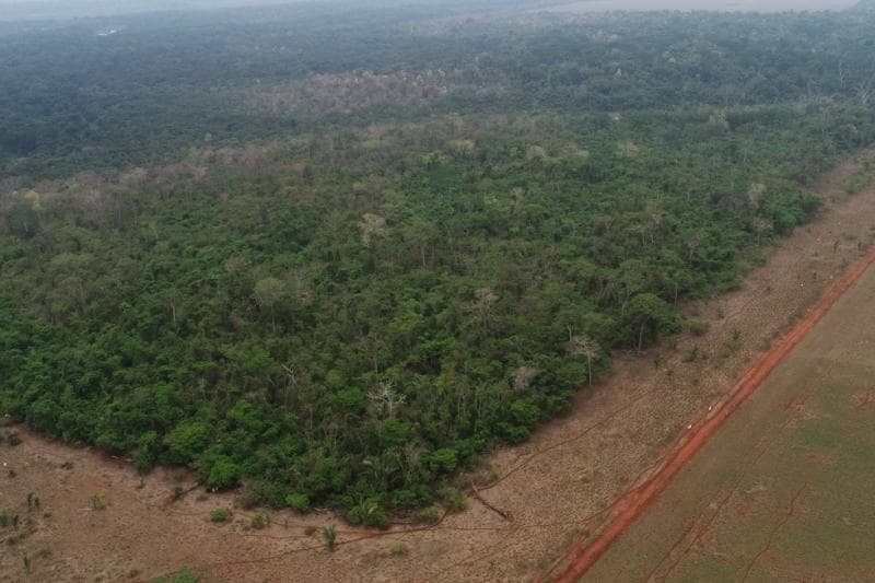 Area Rural em leilão em Vila Bela Da Santíssima Trindade - MT — Fazendas Mt