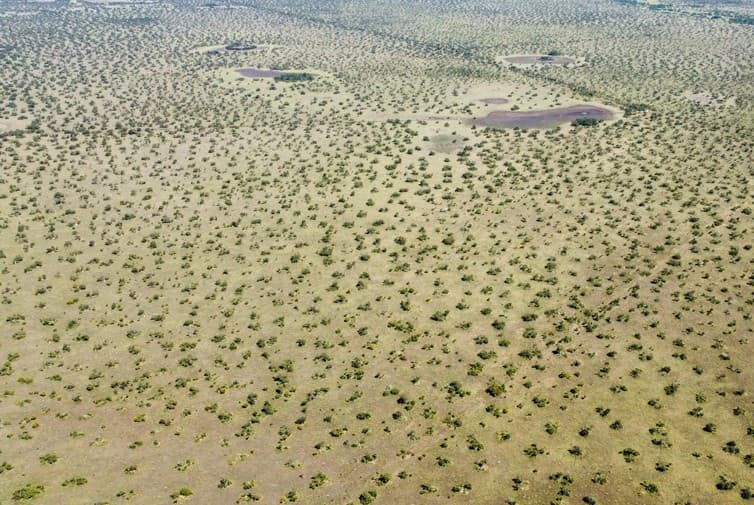 Foto 1 de 2: Area Rural em leilão em Água Boa - MT — Fazenda Em Água Boa Mt