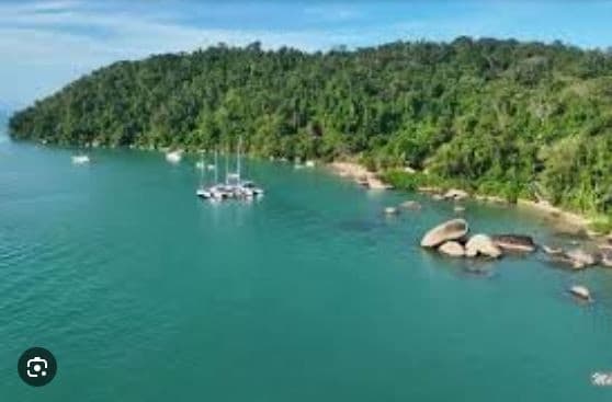 Foto 4 de 6: Imóvel em leilão em Paraty - RJ — PROPRIEDADE NA ILHA DO ARAÚJO, EM PARATY -  IMAGENS ILUSTRATIVAS