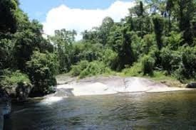 Foto 5 de 7: Imóvel em leilão em Paraty - RJ — PROPRIEDADE EM RIO PEQUENO, EM PARATY -  IMAGENS ILUSTRATIVAS.