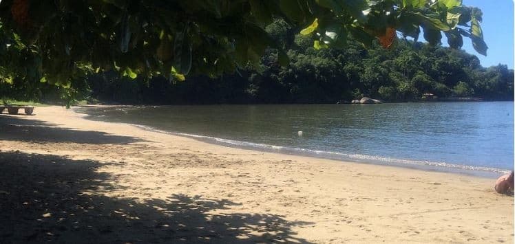 Foto 5 de 8: Imóvel em leilão em Paraty - RJ — PROPRIEDADE EM CORUMBÉ, PARATY -  IMAGENS ILUSTRATIVAS.
