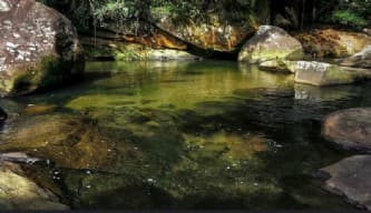 Area Rural em leilão em Nova Friburgo - RJ — LUGAR DENOMINADO CACHOEIRAS, RONCADOR - NOVA FRIBURGO / RJ. As certidões do imóvel estão sendo extraídas, assim como sua fiel localização. IMAGENS ILUSTRATIVAS.