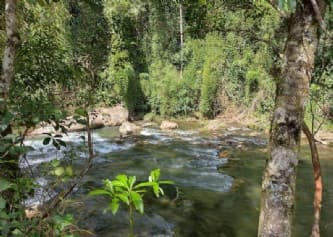 Area Rural em leilão em Nova Friburgo - RJ — LUGAR DENOMINADO RIO BONITO, TOCA DA ONÇA, AO SUL DE LUMIAR - NOVA FRIBURGO / RJ. As certidões do imóvel estão sendo extraídas, assim como sua fiel localização. IMAGENS ILUSTRATIVAS.