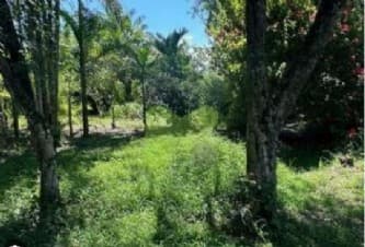 Imóvel em leilão em Silva Jardim - RJ — LUGAR DENOMINADO ZUNGU, EM SILVA JARDIM / RJ. As certidões do imóvel estão sendo extraídas, assim como sua fiel localização. IMAGENS ILUSTRATIVAS.