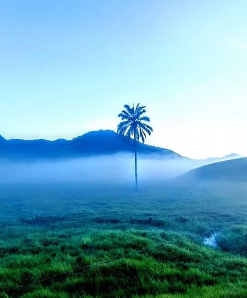 Foto 3 de 3: Imóvel em leilão em Silva Jardim - RJ — LUGAR DENOMINADO ZUNGU, EM SILVA JARDIM / RJ. As certidões do imóvel estão sendo extraídas, assim como sua fiel localização. IMAGENS ILUSTRATIVAS.