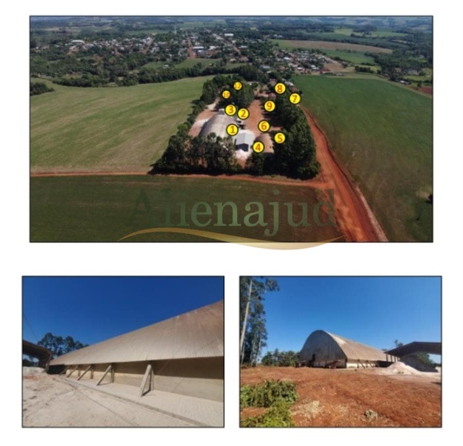 Foto 14 de 23: Terreno em leilão em Alegria - RS — Fração de terras c/ área total de 46.302,16 m² em Alegria/RS Fração de terras c/ área total de 46.302,16 m² em Alegria/RS