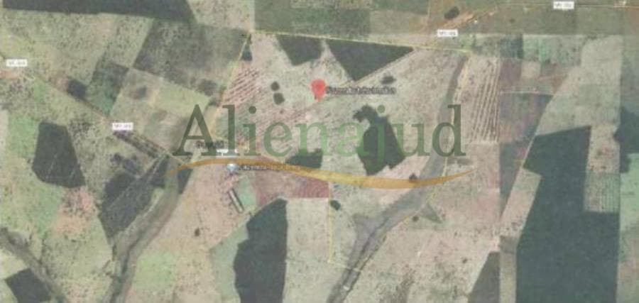 Foto 4 de 4: Terreno em leilão em Bela Vista - MS — Lote de terra na FAZENDA TRÊS IRMÃOS Lotes de terras em Guarani das Missões/RS e Bela Vista/MS