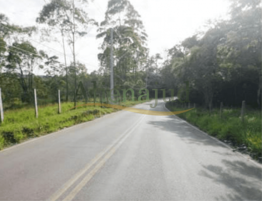 Foto 5 de 6: Area Rural em leilão em Cotia - SP — Caucaia do Alto - Cotia/SP Gleba de terras c/ 61.031m² - Caucaia do Alto - Cotia/SP