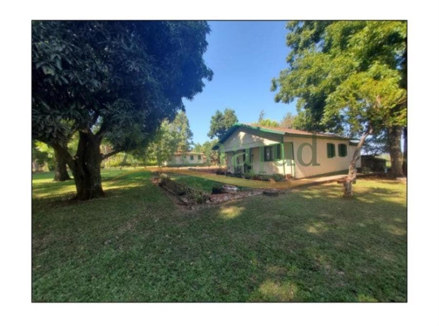 Foto 20 de 23: Terreno em leilão em Alegria - RS — Fração de terras c/ área total de 46.302,16 m² em Alegria/RS Fração de terras c/ área total de 46.302,16 m² em Alegria/RS
