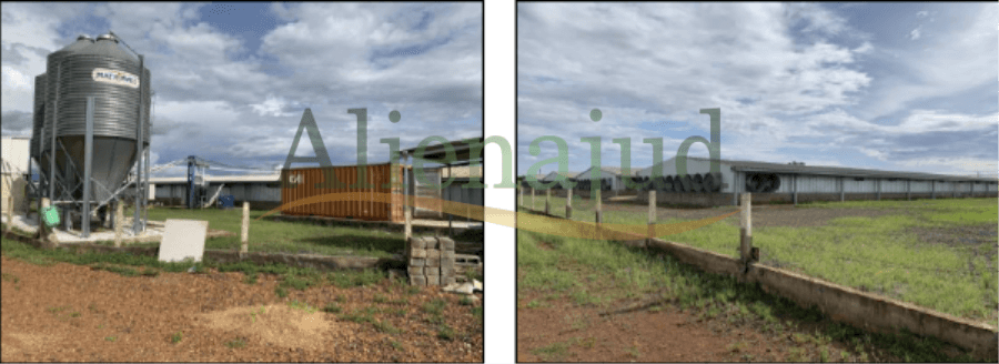 Foto 3 de 6: Area Rural em leilão em Uberaba - MG — Uma propriedade rural com área de 43,0494 hectares situado em Uberaba/MG Propriedades rurais em MG e uma área no RS