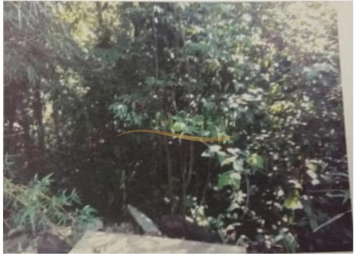 Terreno em leilão em Guarujá - SP — DIREITOS - Terreno c/ área de 1.200m² situado a Rodovia Guarujá-Bertioga Km 17,5 - Iporanga - Guaruj DIREITOS - Terreno c/ área de 1.200m² situado a Rodovia Guarujá-Bertioga Km 17,5 - Iporanga - Guaruj