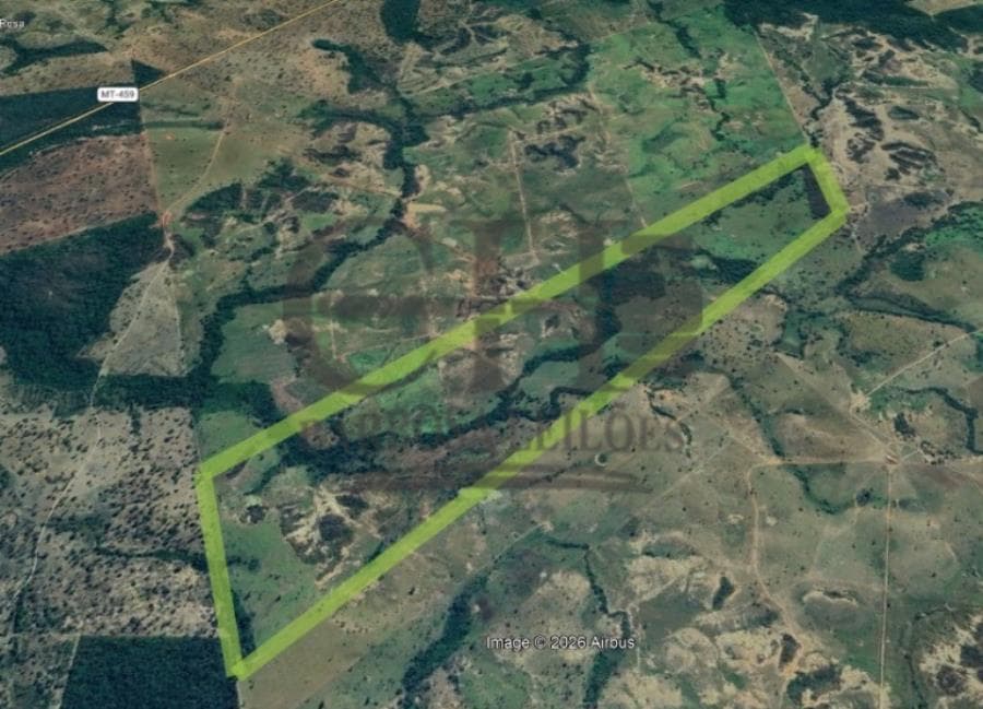 Foto 2 de 4: Area Rural em leilão em Guiratinga - MT, bairro Vale Rico — FAZ PRIMAVERA IV (259 HÁ) GUIRATINGA FAZENDA PRIMAVERA IV (259 HECTARES)