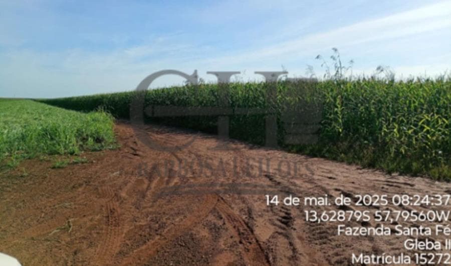 Foto 10 de 11: Area Rural em leilão em Campo Novo Do Parecis - MT — FAZENDA SANTA FÉ (GLEBA II) - 384,62 HÁ - CAMPO NOVO DO PARECIS IMÓVEIS RURAIS - CAMPO NOVO DO PARECIS