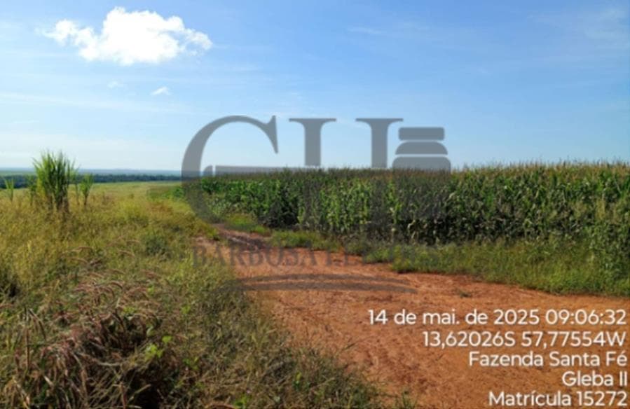Foto 7 de 11: Area Rural em leilão em Campo Novo Do Parecis - MT — FAZENDA SANTA FÉ (GLEBA II) - 384,62 HÁ - CAMPO NOVO DO PARECIS IMÓVEIS RURAIS - CAMPO NOVO DO PARECIS
