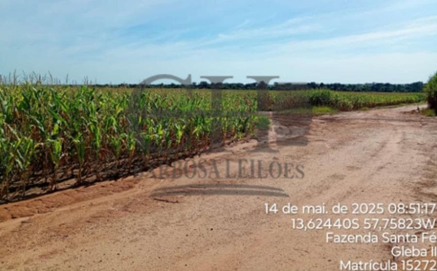 Foto 8 de 11: Area Rural em leilão em Campo Novo Do Parecis - MT — FAZENDA SANTA FÉ (GLEBA II) - 384,62 HÁ - CAMPO NOVO DO PARECIS IMÓVEIS RURAIS - CAMPO NOVO DO PARECIS