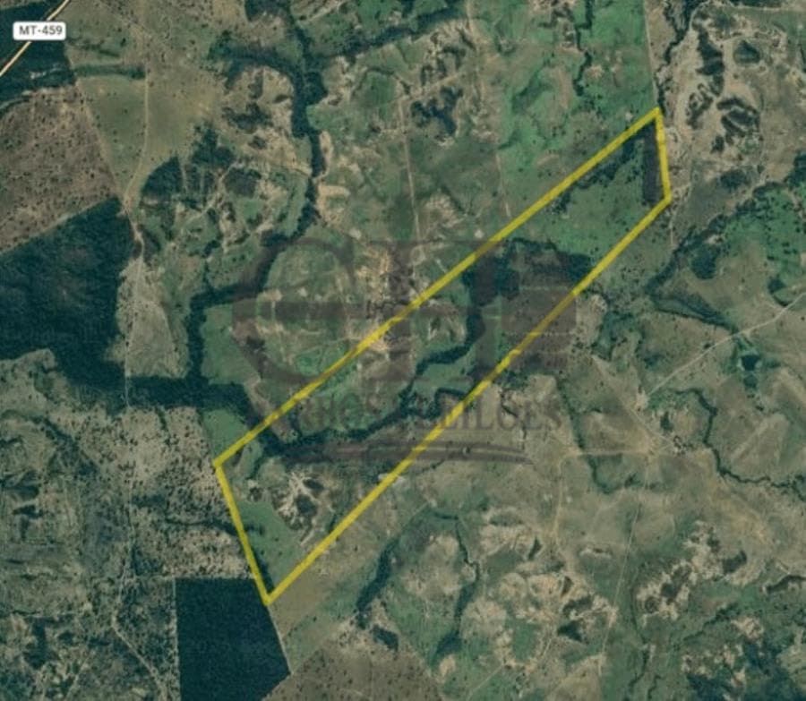 Foto 1 de 4: Area Rural em leilão em Guiratinga - MT, bairro Vale Rico — FAZ PRIMAVERA IV (259 HÁ) GUIRATINGA FAZENDA PRIMAVERA IV (259 HECTARES)