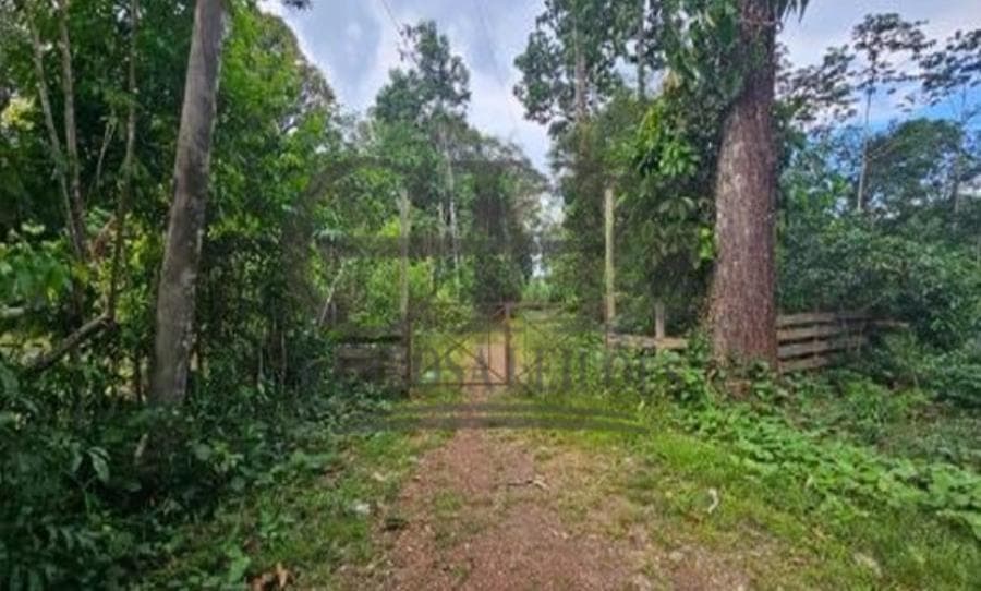 Foto 1 de 3: Terreno em leilão em Abaetetuba - PA, bairro Castanhal — ÁREA COM 151.177m² (ABAETETUBA) LEILÃO CONDICIONAL - PARÁ