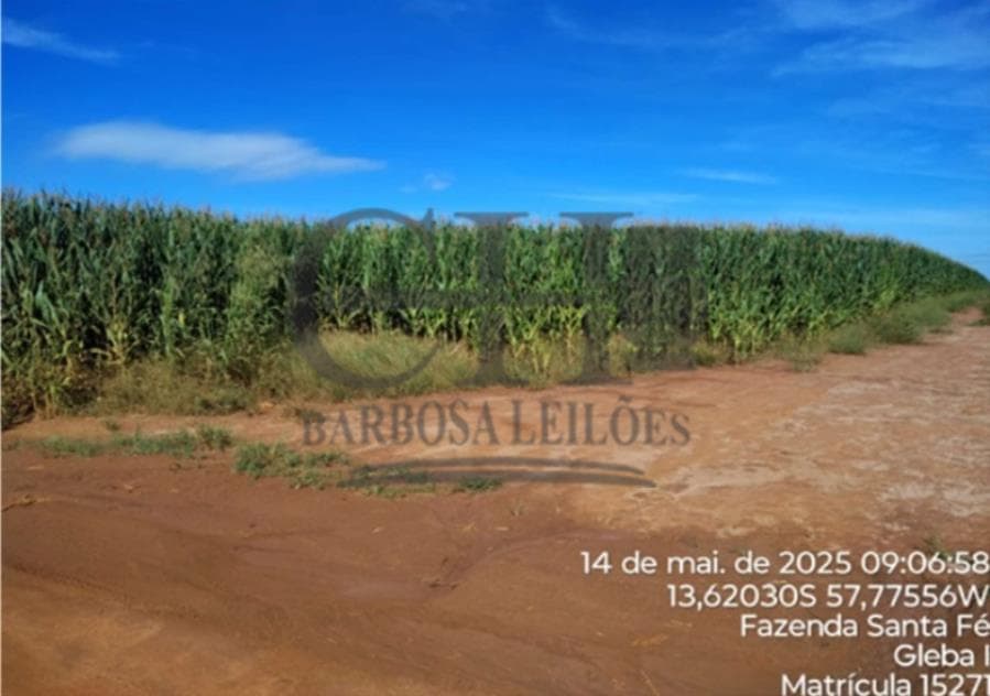 Foto 6 de 9: Area Rural em leilão em Campo Novo Do Parecis - MT — FAZENDA SANTA FÉ (GLEBA I) - 384,63 HÁ - CAMPO NOVO DO PARECIS IMÓVEIS RURAIS - CAMPO NOVO DO PARECIS