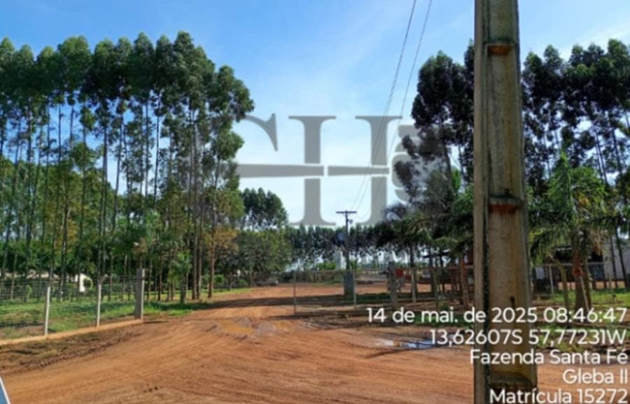 Foto 11 de 11: Area Rural em leilão em Campo Novo Do Parecis - MT — FAZENDA SANTA FÉ (GLEBA II) - 384,62 HÁ - CAMPO NOVO DO PARECIS IMÓVEIS RURAIS - CAMPO NOVO DO PARECIS