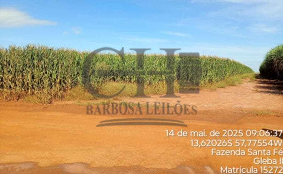 Foto 5 de 11: Area Rural em leilão em Campo Novo Do Parecis - MT — FAZENDA SANTA FÉ (GLEBA II) - 384,62 HÁ - CAMPO NOVO DO PARECIS IMÓVEIS RURAIS - CAMPO NOVO DO PARECIS