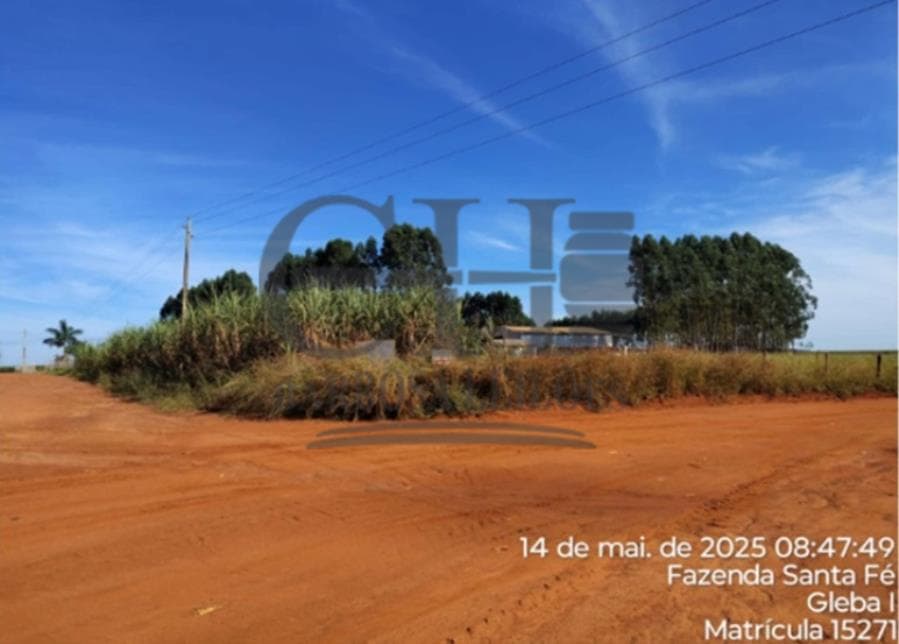 Foto 9 de 9: Area Rural em leilão em Campo Novo Do Parecis - MT — FAZENDA SANTA FÉ (GLEBA I) - 384,63 HÁ - CAMPO NOVO DO PARECIS IMÓVEIS RURAIS - CAMPO NOVO DO PARECIS