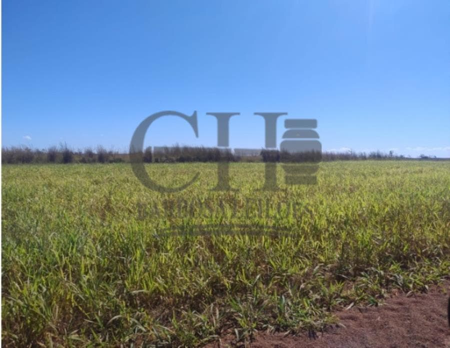 Foto 6 de 11: Area Rural em leilão em Chapada Dos Guimarães - MT — IMÓVEL RURAL COM 4.930 HÁ - FAZ PLANALTO II IMÓVEL RURAL C/4.930 HÁ (APROX 2.000 HÁ DE PLANTIO)
