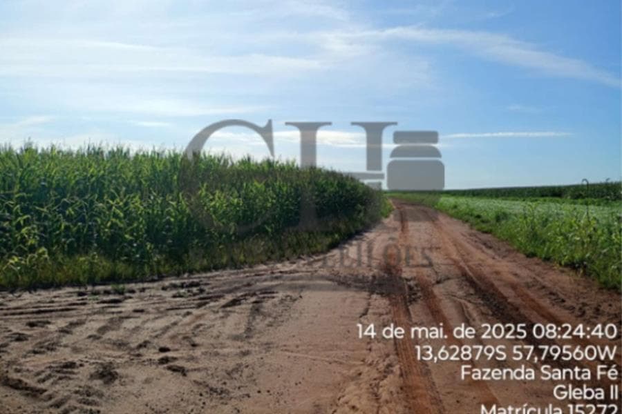 Foto 9 de 11: Area Rural em leilão em Campo Novo Do Parecis - MT — FAZENDA SANTA FÉ (GLEBA II) - 384,62 HÁ - CAMPO NOVO DO PARECIS IMÓVEIS RURAIS - CAMPO NOVO DO PARECIS
