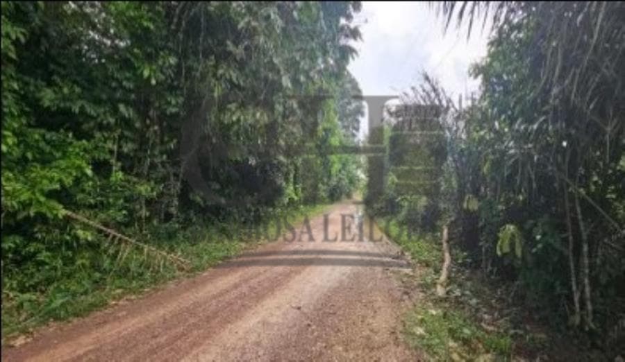 Foto 2 de 3: Terreno em leilão em Abaetetuba - PA, bairro Castanhal — ÁREA COM 151.177m² (ABAETETUBA) LEILÃO CONDICIONAL - PARÁ