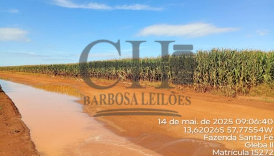 Foto 6 de 11: Area Rural em leilão em Campo Novo Do Parecis - MT — FAZENDA SANTA FÉ (GLEBA II) - 384,62 HÁ - CAMPO NOVO DO PARECIS IMÓVEIS RURAIS - CAMPO NOVO DO PARECIS