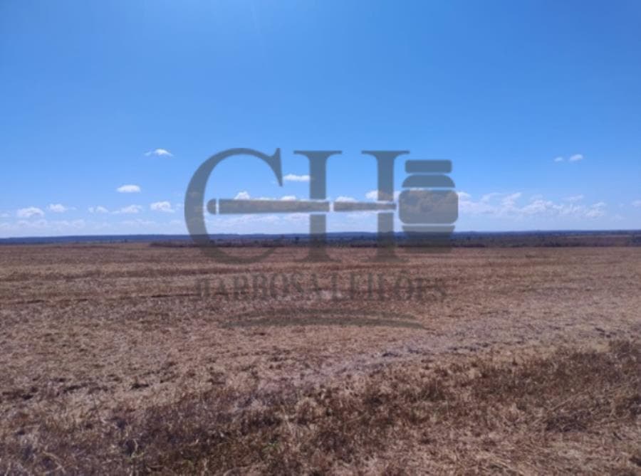Foto 2 de 11: Area Rural em leilão em Chapada Dos Guimarães - MT — IMÓVEL RURAL COM 4.930 HÁ - FAZ PLANALTO II IMÓVEL RURAL C/4.930 HÁ (APROX 2.000 HÁ DE PLANTIO)