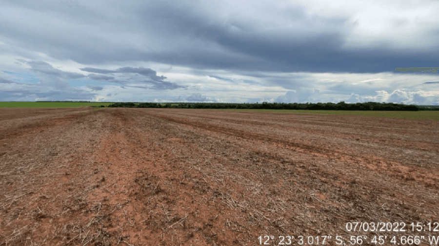 Foto 9 de 16: Area Rural em leilão em Tapurah - MT — Tapurah/MT - Fazenda com 489ha Leilão Banco Inter