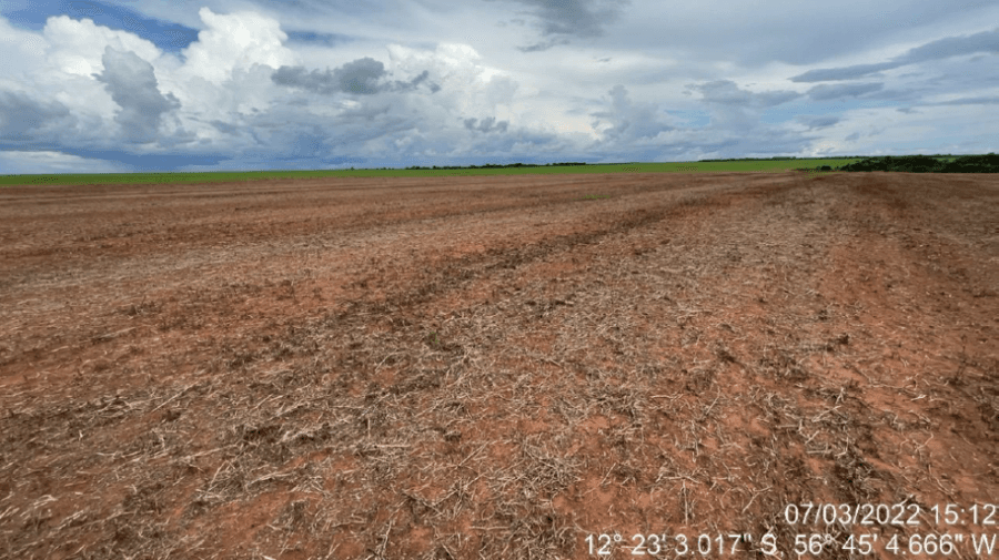 Foto 10 de 16: Area Rural em leilão em Tapurah - MT — Tapurah/MT - Fazenda com 489ha Leilão Banco Inter