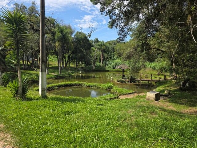 Foto 3 de 10: Area Rural em leilão em Colombo - PR, bairro Roca Grande — LOTE 2-A (DOIS-A) COM A AREA DE 30.185,21M2.