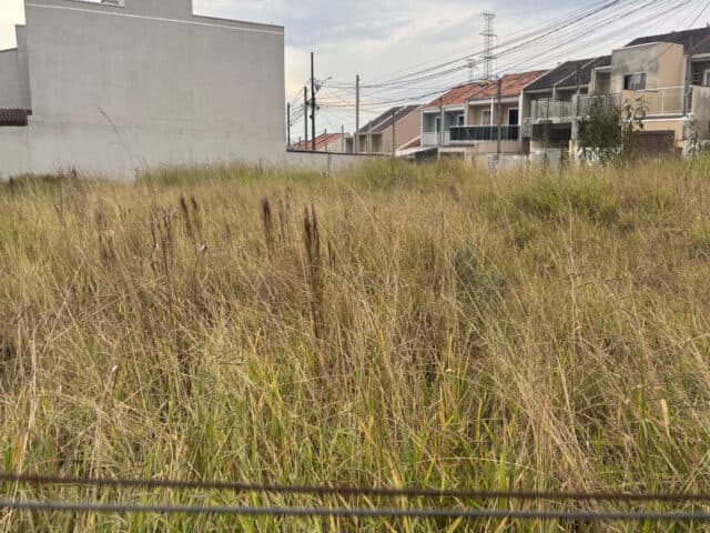 Foto 10 de 10: Terreno em leilão em Curitiba - PR, bairro Tatuquara — LOTE DE TERRENO NO 01 (UM), DA QUADRA N° 05 (CINCO), DA PLANTA MORADIAS LAGUNA II