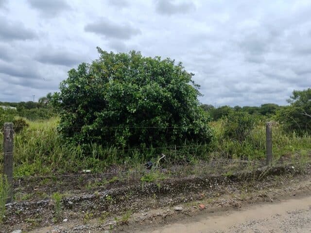 Foto 1 de 8: Terreno em leilão em Pontal Do Paraná - PR, bairro Pontal do Sul — TERRENO COM 702,00M2 - RUA PARDAL, NO 71, PONTAL DO SUL,