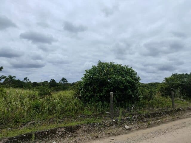 Foto 4 de 8: Terreno em leilão em Pontal Do Paraná - PR, bairro Pontal do Sul — TERRENO COM 702,00M2 - RUA PARDAL, NO 71, PONTAL DO SUL,