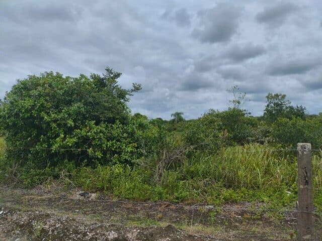 Foto 2 de 8: Terreno em leilão em Pontal Do Paraná - PR, bairro Pontal do Sul — TERRENO COM 702,00M2 - RUA PARDAL, NO 71, PONTAL DO SUL,