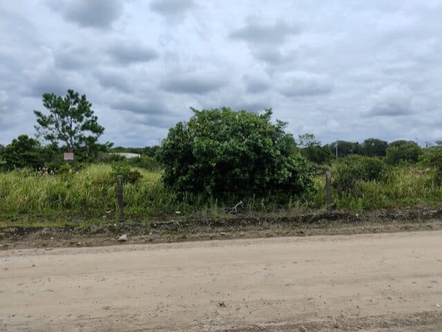 Foto 6 de 8: Terreno em leilão em Pontal Do Paraná - PR, bairro Pontal do Sul — TERRENO COM 702,00M2 - RUA PARDAL, NO 71, PONTAL DO SUL,