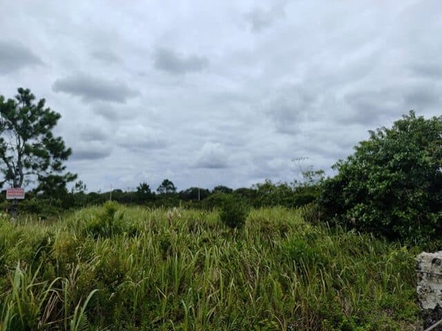 Foto 8 de 8: Terreno em leilão em Pontal Do Paraná - PR, bairro Pontal do Sul — TERRENO COM 702,00M2 - RUA PARDAL, NO 71, PONTAL DO SUL,