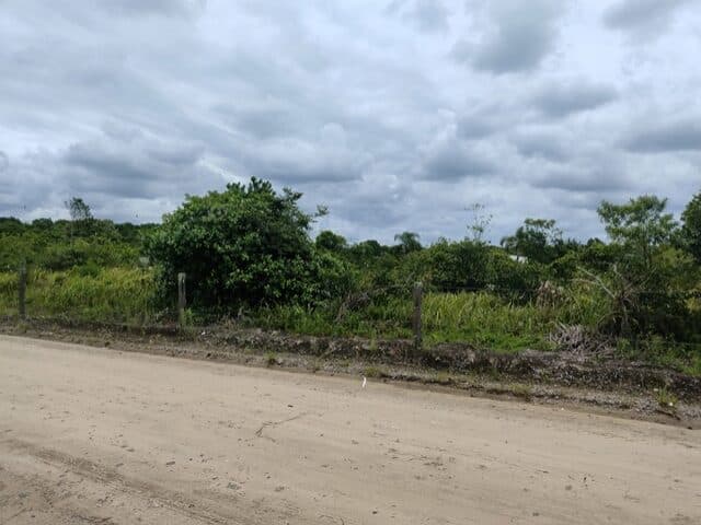Foto 5 de 8: Terreno em leilão em Pontal Do Paraná - PR, bairro Pontal do Sul — TERRENO COM 702,00M2 - RUA PARDAL, NO 71, PONTAL DO SUL,